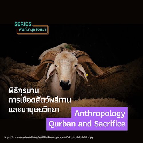 รูปภาพของ พิธีกุรบาน, การเชือดสัตว์พลีทาน และมานุษยวิทยา Anthropology, Qurban and Sacrifice