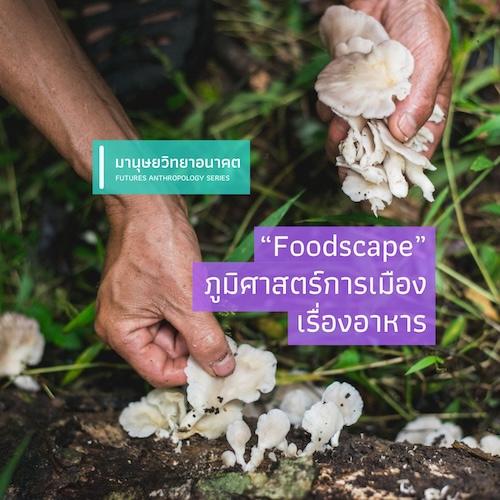 รูปภาพของ “Foodscape” ภูมิศาสตร์การเมืองเรื่องอาหาร