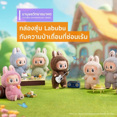 รูปภาพของ กล่องสุ่ม Labubu กับความป่าเถื่อนที่ซ่อนเร้น