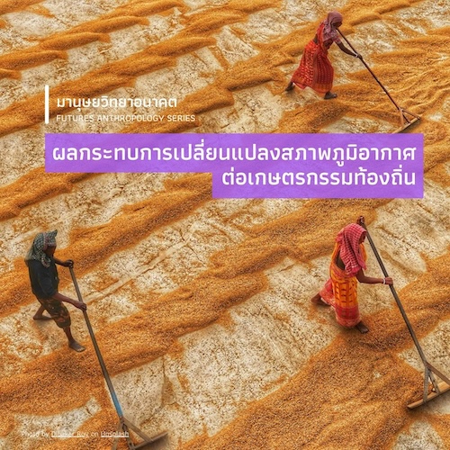 ผลกระทบการเปลี่ยนแปลงสภาพภูมิอากาศต่อเกษตรกรรมท้องถิ่น (Impacts of climate change on local agriculture)