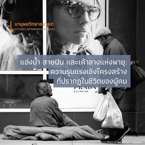 แอ่งน้ำ สายฝน และเค้าลางแห่งพายุ:  ความรุนแรงเชิงโครงสร้างที่ปรากฏในชีวิต