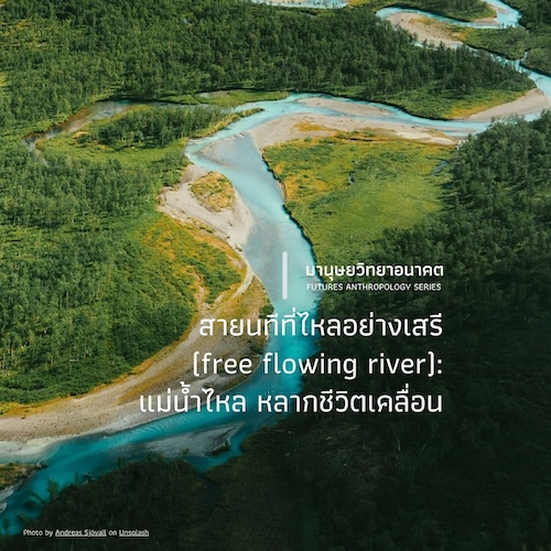 รูปภาพของ สายนทีที่ไหลอย่างเสรี (free flowing river):  แม่น้ำไหล หลากชีวิตเคลื่อน