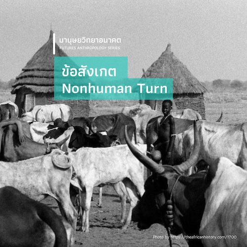 ข้อสังเกต Nonhuman Turn