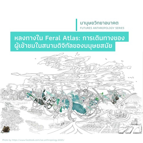รูปภาพของ หลงทางใน Feral Atlas: การเดินทางของผู้เข้าชมในสนามดิจิทัล ของมนุษยสมัย