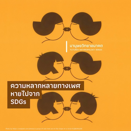 รูปภาพของ ความหลากหลายทางเพศ หายไปจาก SDGs