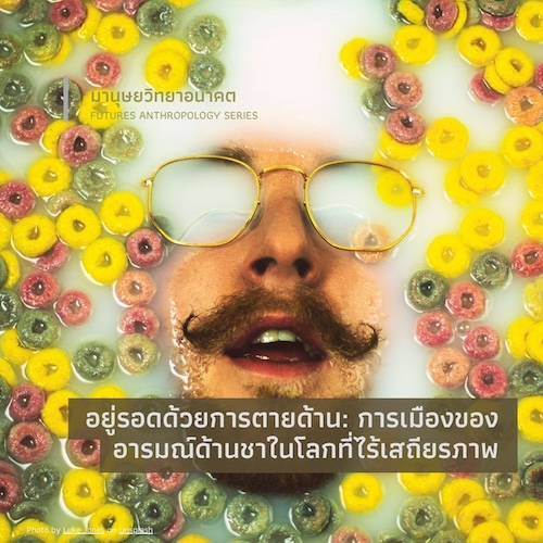 อยู่รอดด้วยการตายด้าน:  การเมืองของอารมณ์ด้านชาในโลกที่ไร้เสถียรภาพ