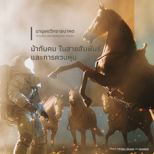 ม้ากับคน ในสายสัมพันธ์และการควบคุม