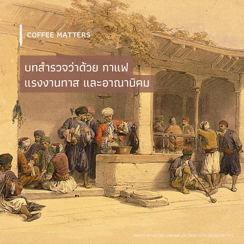 รูปภาพของ บทสำรวจว่าด้วย กาแฟ แรงงานทาส และอาณานิคม