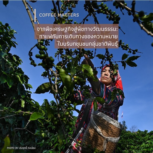 จากพืชเศรษฐกิจสู่พืชทางวัฒนธรรม:  กาแฟกับการเดินทางของความหมายในบริบทชุมชนกลุ่มชาติพันธุ์