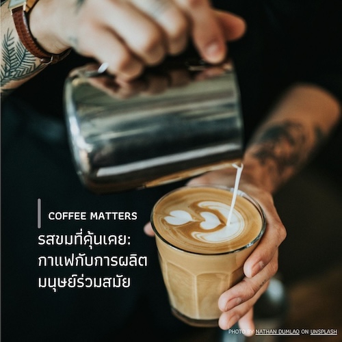 รสขมที่คุ้นเคย: กาแฟกับการผลิตมนุษย์ร่วมสมัย