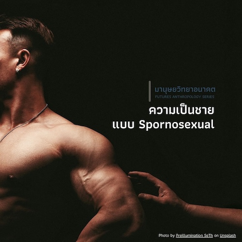 ความเป็นชายแบบ Spornosexual