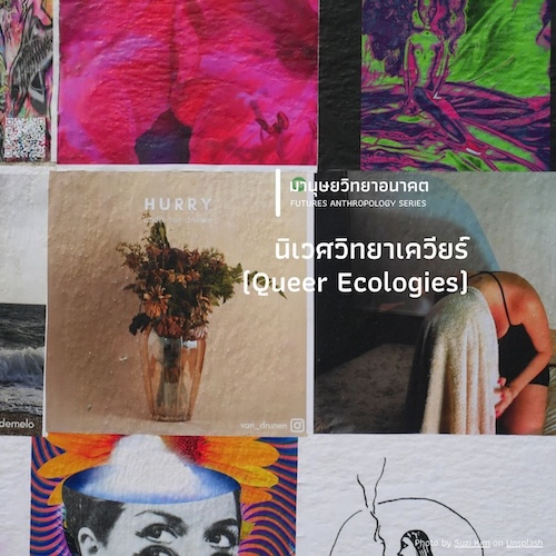 รูปภาพของ นิเวศวิทยาเควียร์ (Queer Ecologies)