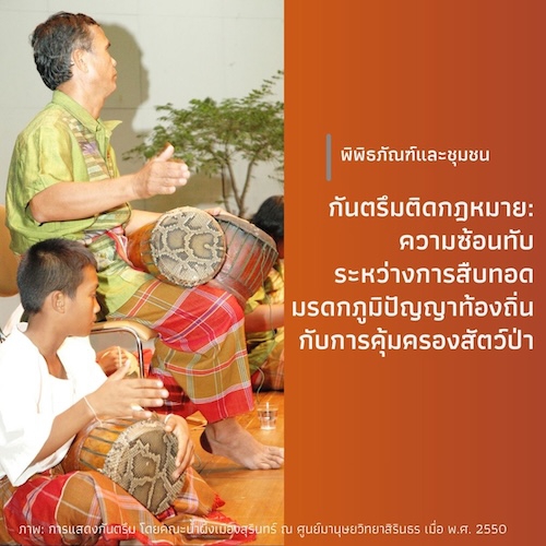 กันตรึมติดกฎหมาย: ความซ้อนทับระหว่างการสืบทอดมรดกภูมิปัญญาท้องถิ่นกับการคุ้มครองสัตว์ป่า